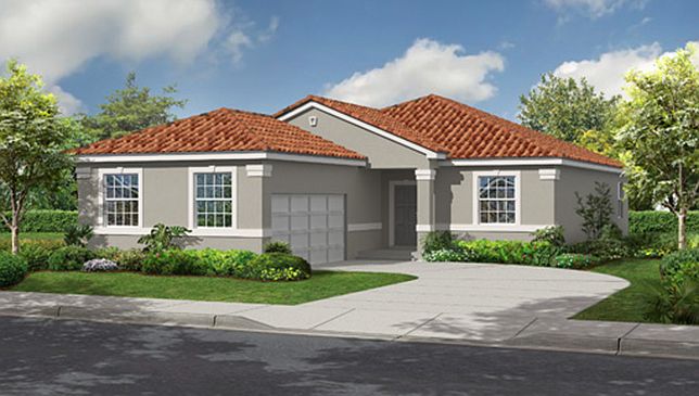 Elevation Image 1.