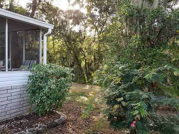4th image of 10208 Oak Forest Dr
