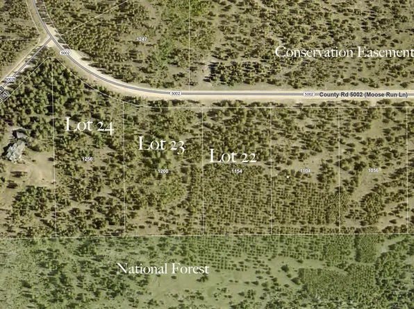 1154 GCR 5002 aka Moose Run Lane, Fraser, CO 80442