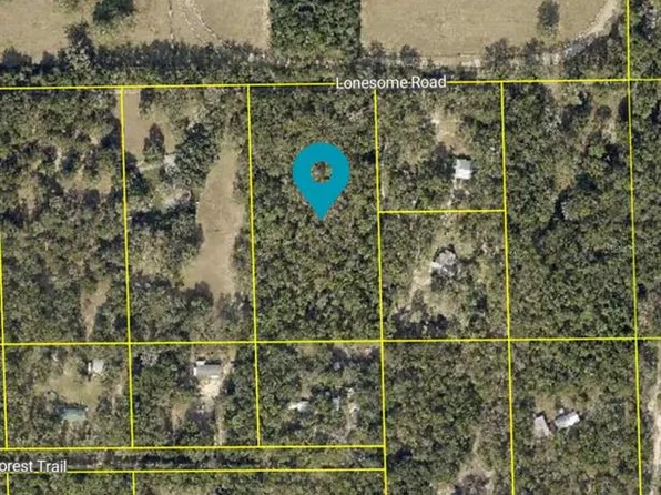 Lonesome Rd, Brooksville, FL 34601