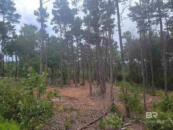 4th image of 0 Primrose Ln