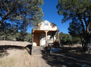 64 Cleveland Mine Rd, Silver City, NM 88061