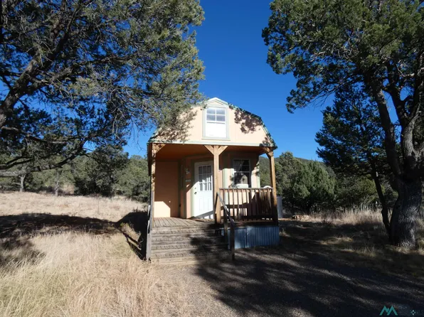 64 Cleveland Mine Rd, Silver City, NM 88061