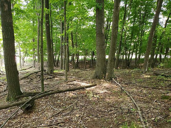 5th image of 1041 WOODS EDGE DRIVE