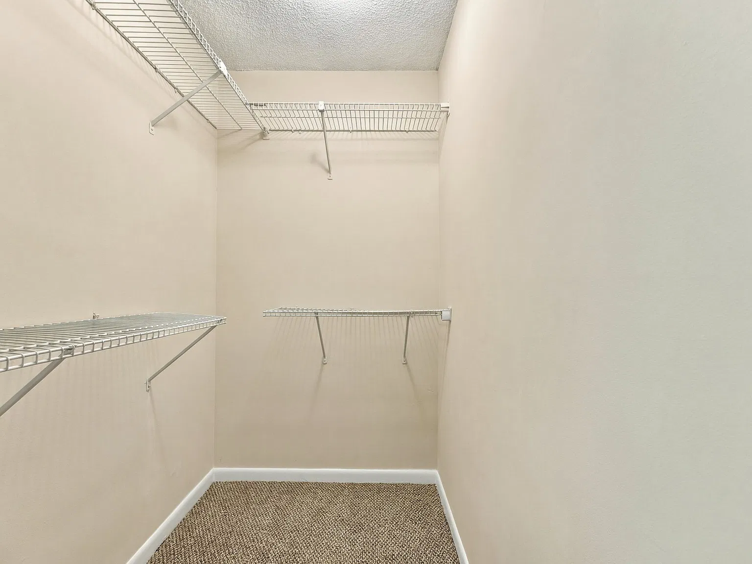 3 bed, 1130 sqft, $2,950 — Photo 2