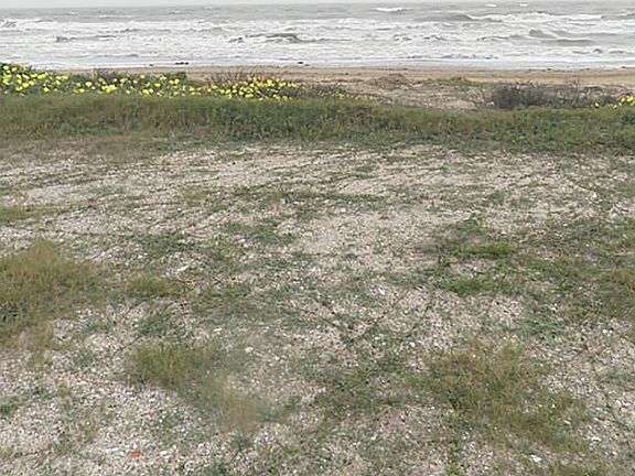 3rd image of 2438 Highway 87