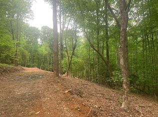 Laurel Trce, Blue Ridge, GA 30513