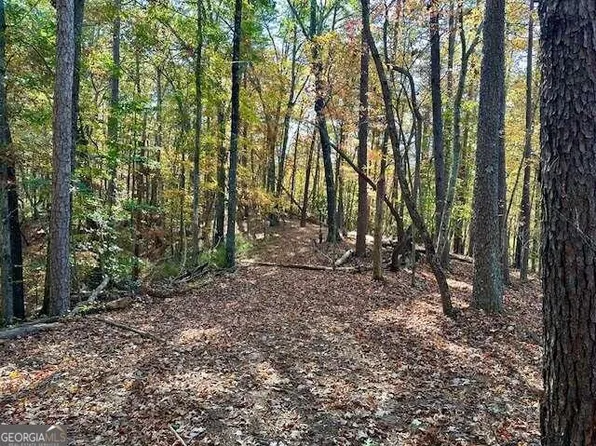 160 Hope Dr, Dawsonville, GA 30534