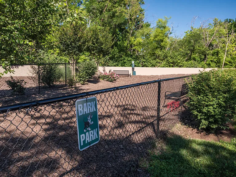 Dog Park