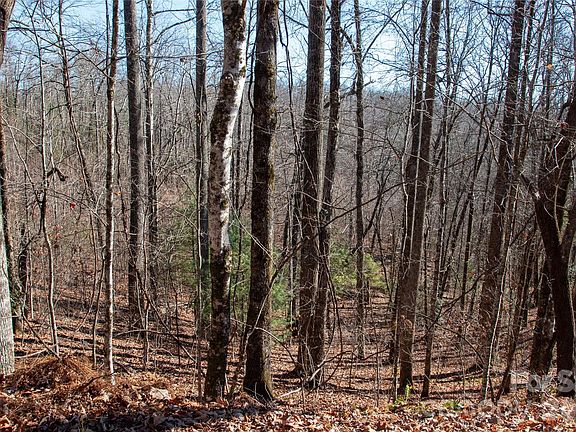 3rd image of 26 Big Branch Rd