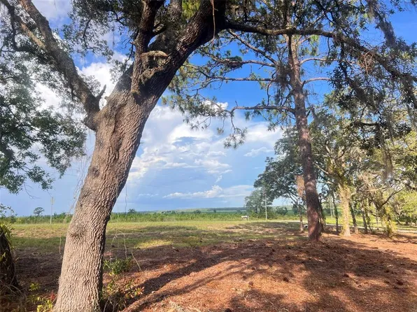 E Levy St Lot 5, Williston, FL 32696