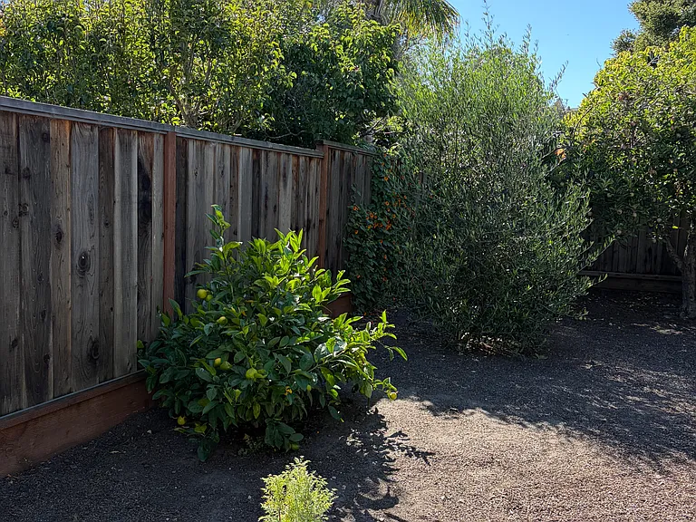 View from backdoor.