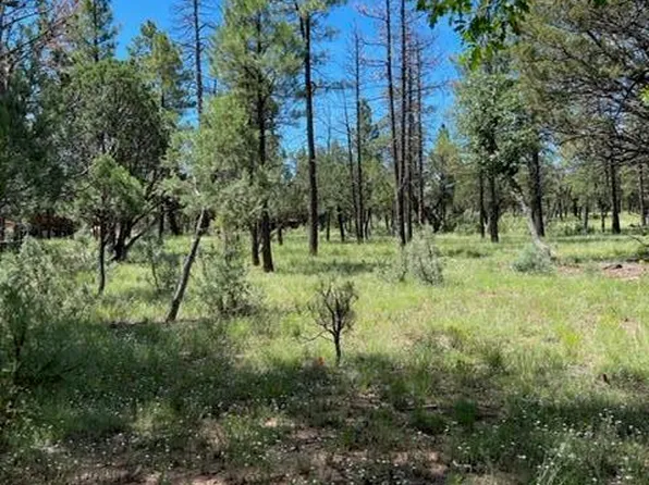 5931 WOLF DEN Court #168, Happy Jack, AZ 86024