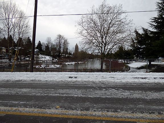 pond and green belt 