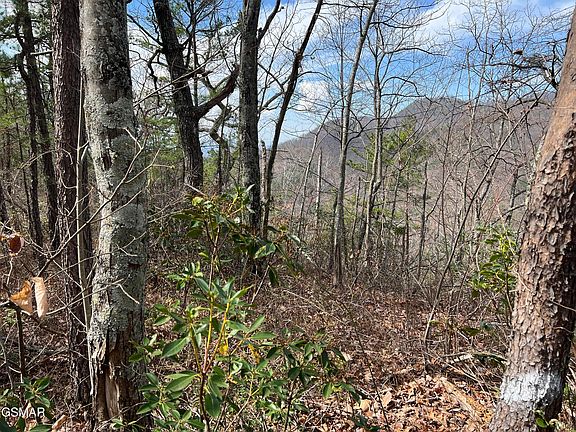 5th image of 1154 Chestnut Ridge Ct