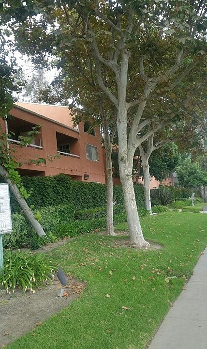 1st image of 12601 Van Nuys Blvd Unit 133