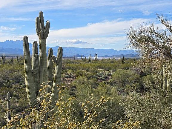 3rd image of 6368 N AZ HIGHWAY 288 --