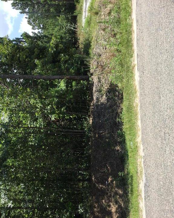 2nd image of 1270 Pineville Cir