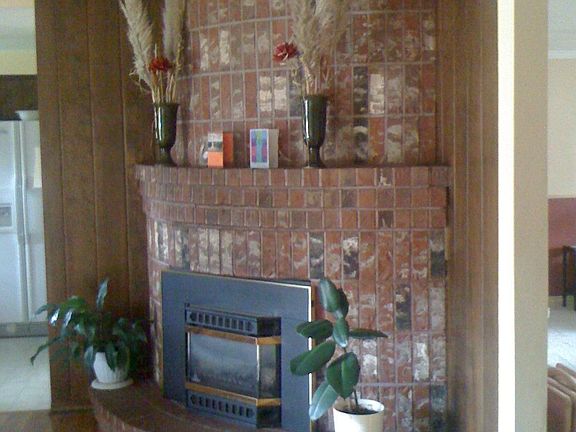 Gas Insert in fireplace