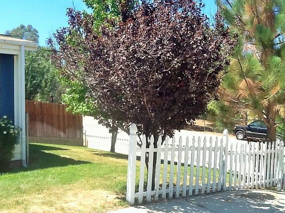 5th image of 3846 Nickels Ave