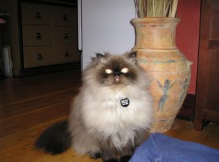 509 N Garden St, Boise, ID 83706