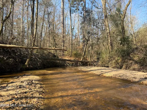 Railroad Ln, Pinola, MS 39149