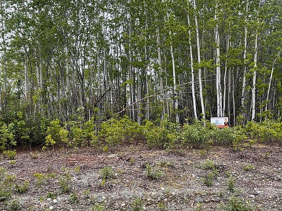 4th image of 13561 W Moonrise Dr