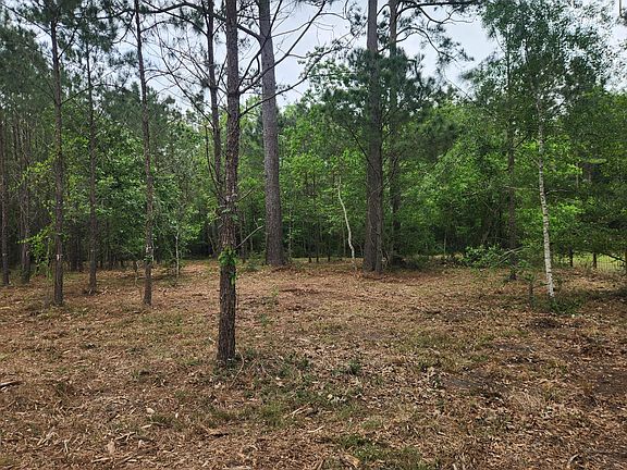 5th image of 7203 Bayou Timbers Dr