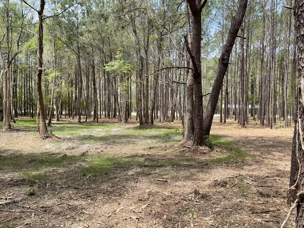5 Sampson Rd, Ridgeville, SC 29472