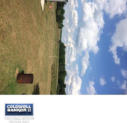 Backyard view from back porch