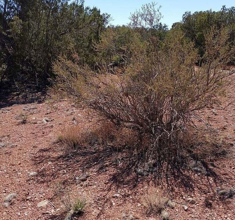 2nd image of 55899 N Val Vista Rd