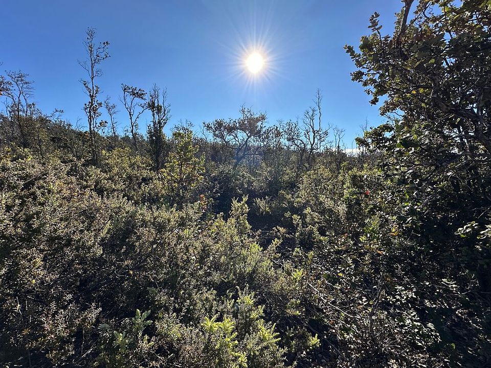 2nd image of Koa Ln Lot 9