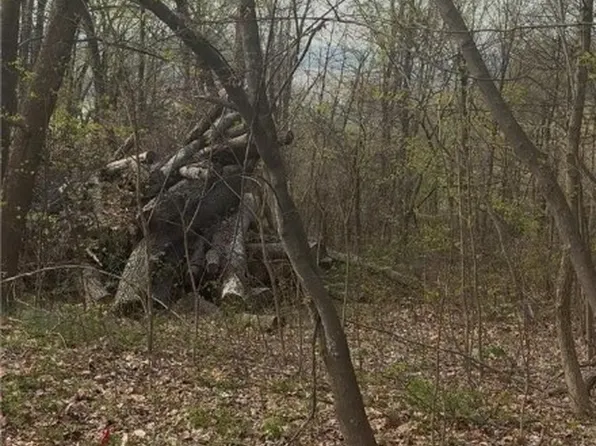  Majestic LOT 31 Way, Elizabeth, IN 47112