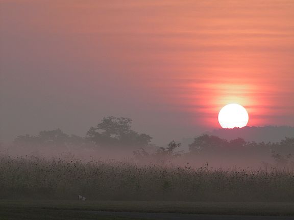 Sunrise 