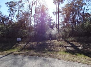 6022 White Birch Run, Spring, TX 77386