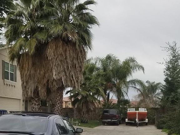 4th image of 1194 Solstice Ave
