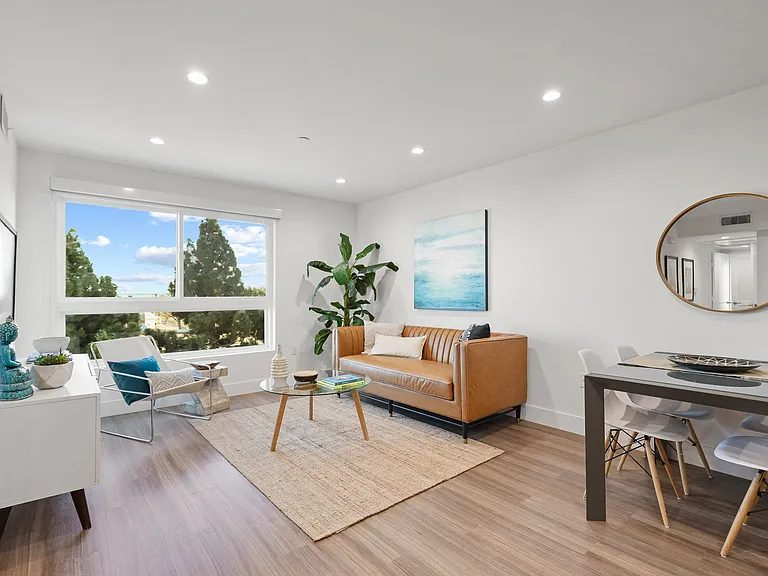 Modern Living Room and Dining Space