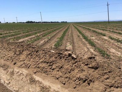 0 E Ryer Island Rd, Rio Vista, CA, 94571