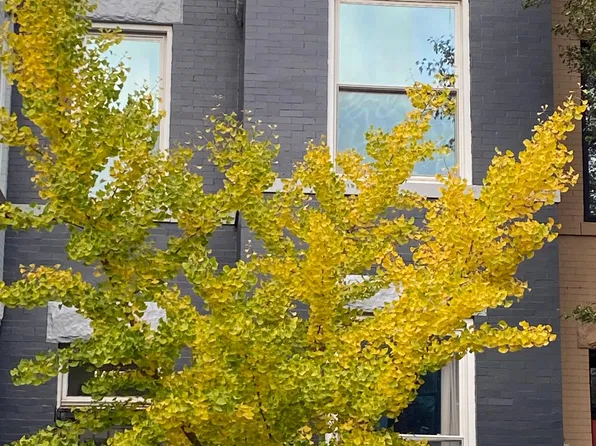 1455 Monroe St NW, Washington, DC 20010