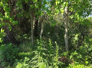 226 Walnut Ave LOT 40, Orange City, FL 32763