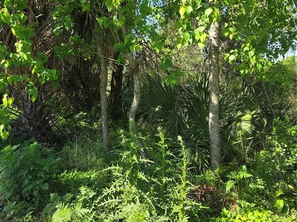 226 Walnut Ave Lot 40, Orange City, FL 32763