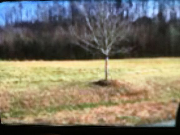 4th image of Pinnacle Dr #19