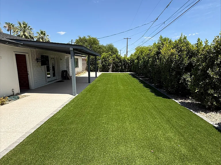 Backyard