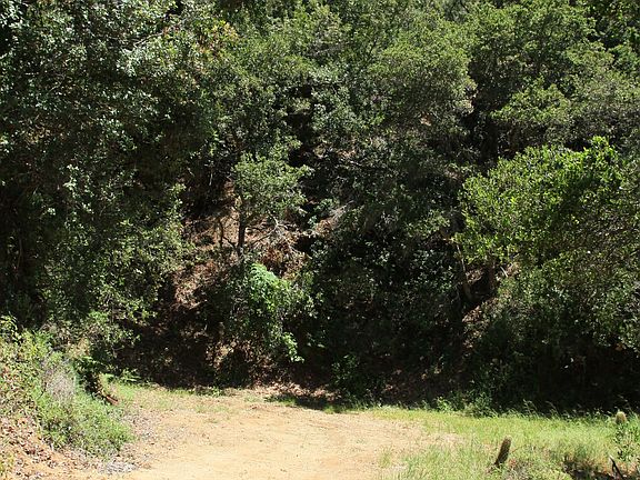 Approaching a homesite