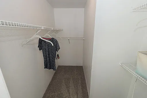 Westchase Creek Apartment Homes — Photo 47