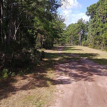 View from street into lot