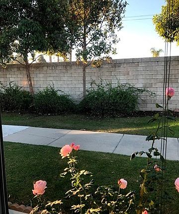 5th image of 1842 Thunderbird Dr