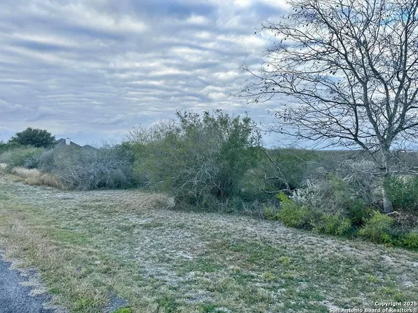 LOT 20 Lakeview Trace, Three Rivers 78071