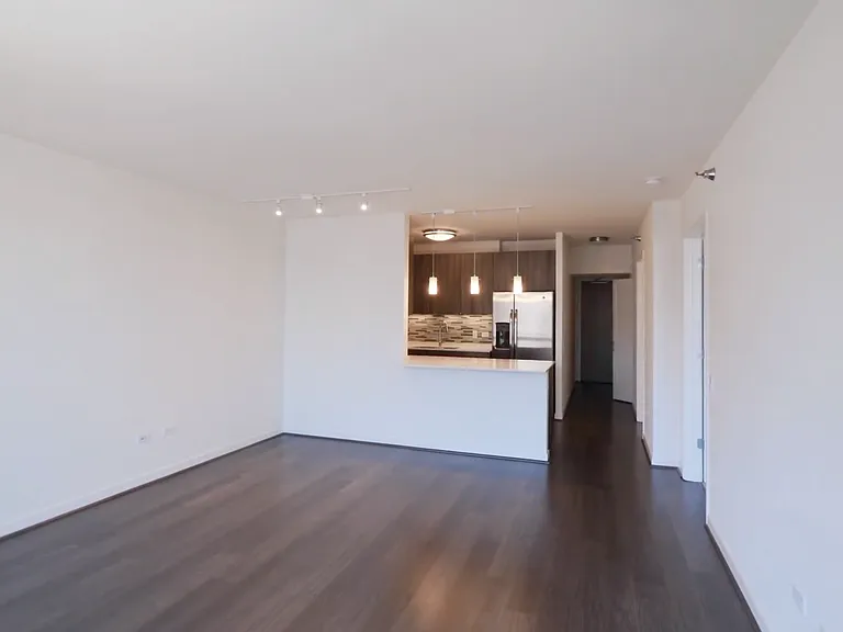 414 N Orleans St #2411 — Photo 4