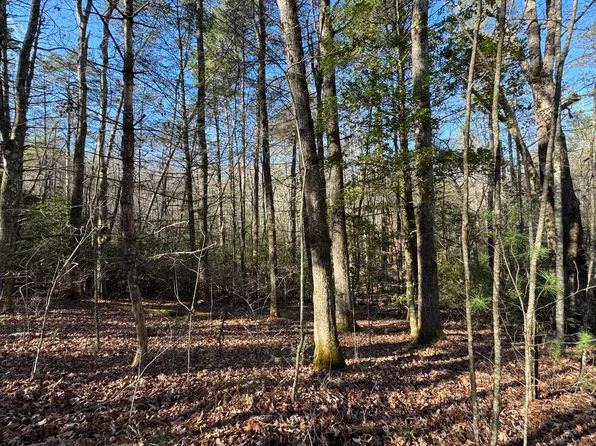 15&16 Mill Creek Acre, Blue Ridge, GA 30513